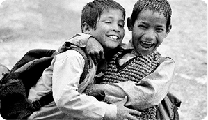 Fruit producers turn to nets for better crops of futer farming